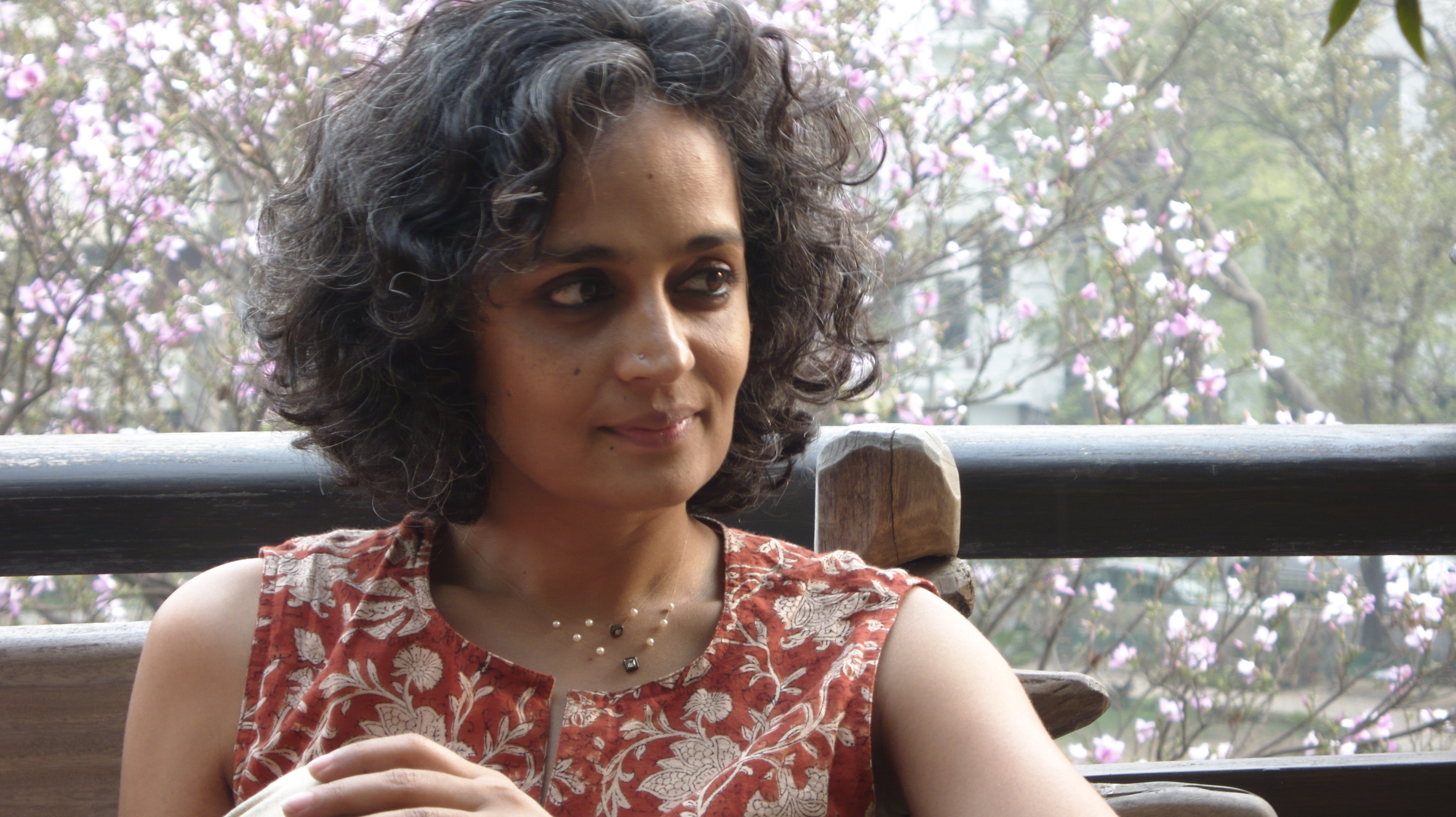 Stor mængde Harmoni afdeling Arundhati Roy: Walking with the Comrades | Center for Place, Culture and  Politics